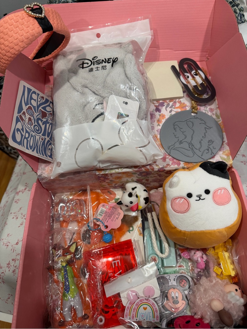 Disney and More Variety Mystery Box